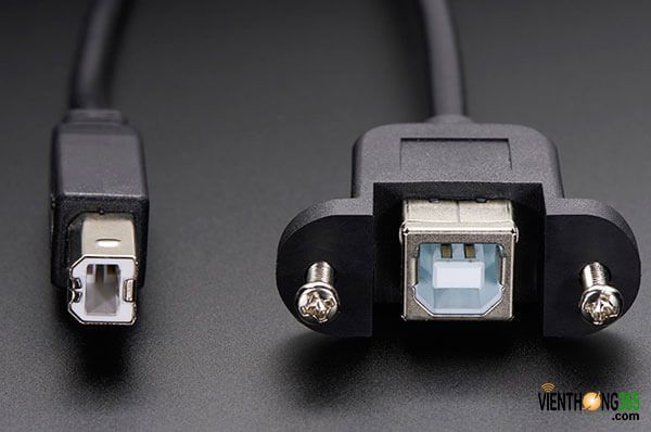 Cổng USB type B đực và Cổng USB type C cái