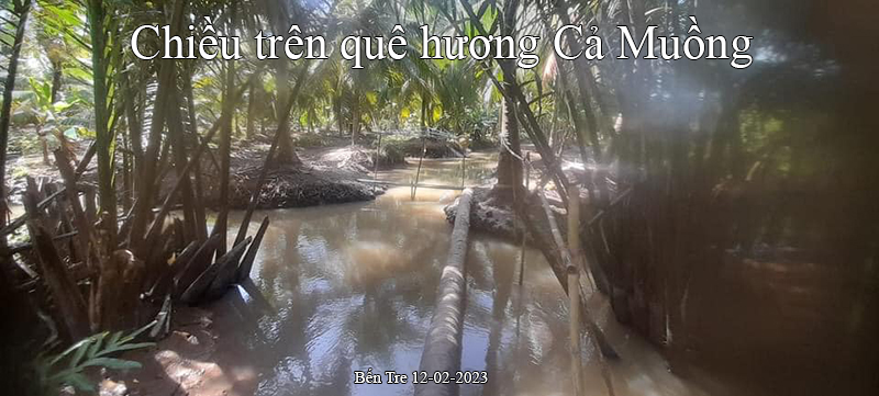 Chiều trên quê hương Cả Muồng