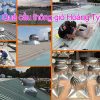 Quả cầu thông gió Hoàng Tý